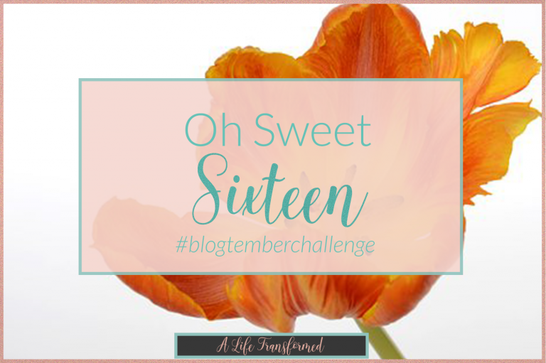 Blog-tember Challenge Day 9 | Oh Sweet Sixteen